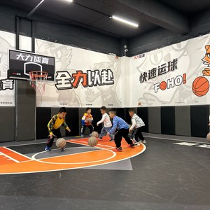  哪里能找到提供即时反馈的篮球训练营？深度解析与推荐